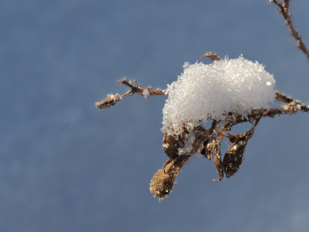 葉劉淑儀平安夜送祝福，創意雪景短片引關注