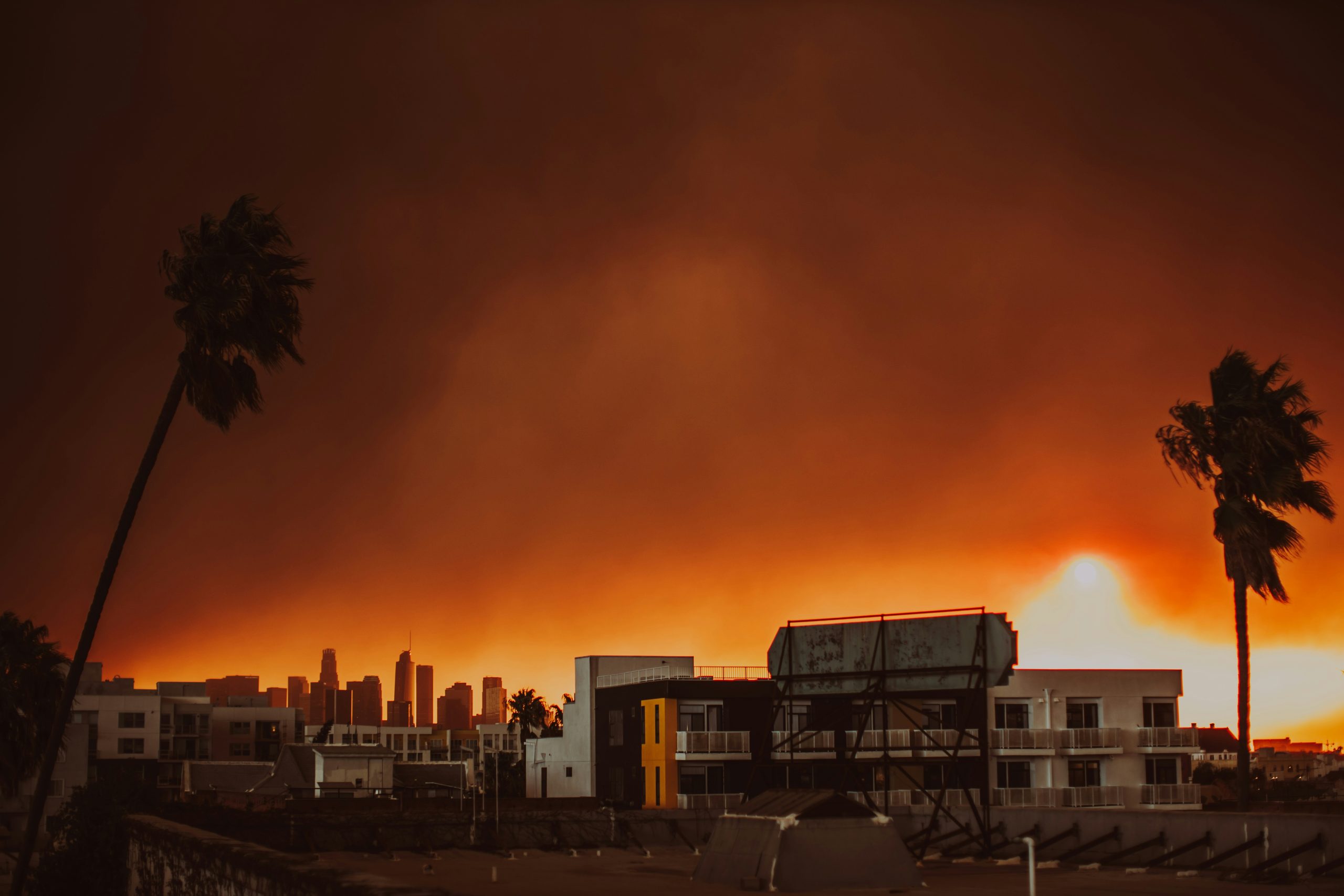 Devastating Studio City Blaze: Homes Destroyed, Evacuations Ordered