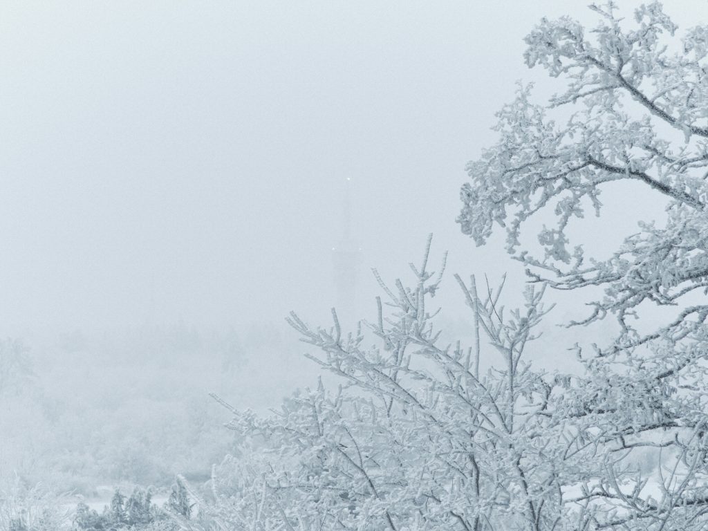 小寒：冬季的開端與養生智慧